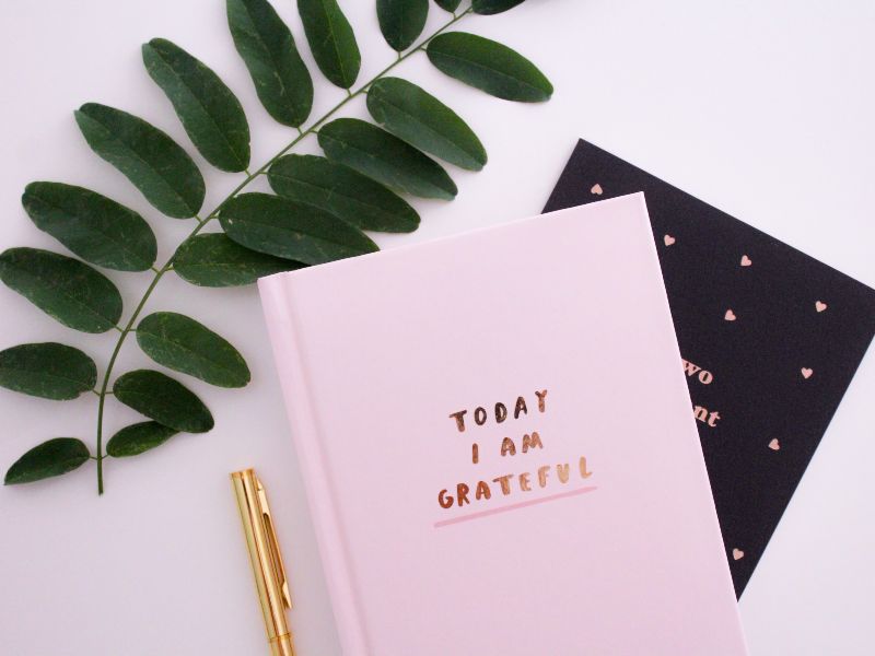 Demo-Pink Moleskine notebook